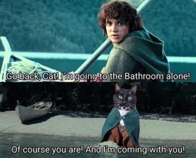 horrormoviememes4_036