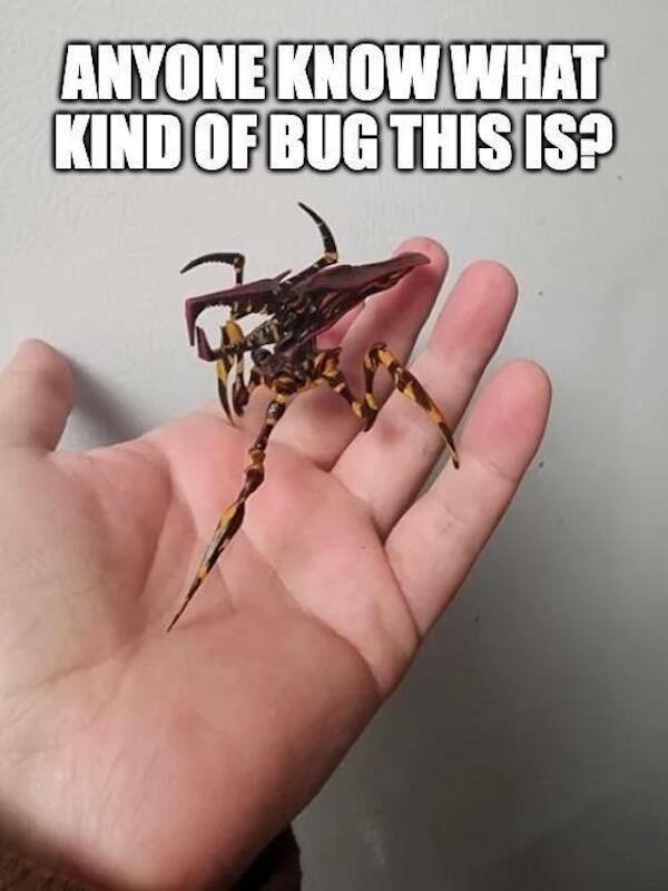 horrormoviememes4_040