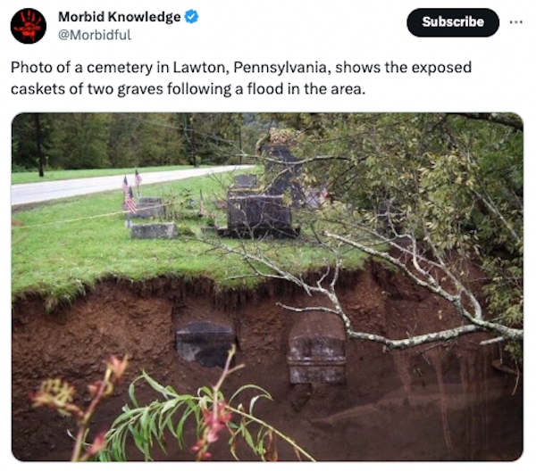 interestingfacts87_006