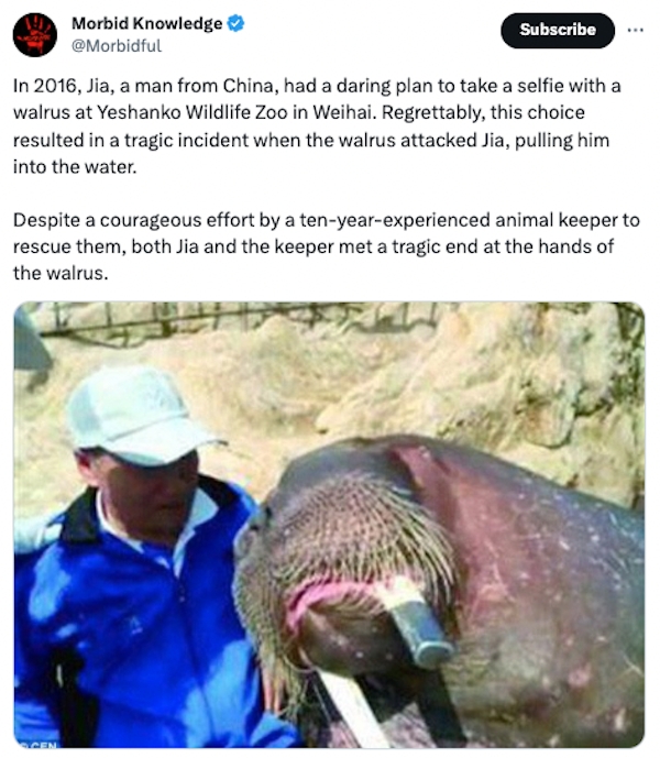 interestingfacts87_011