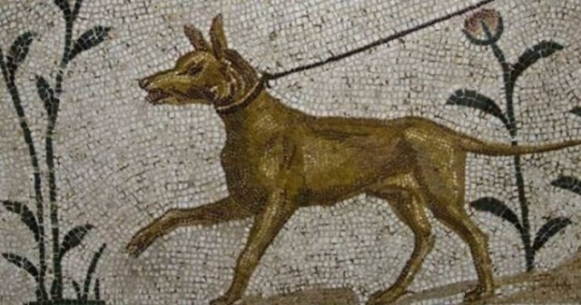 interestingfacts90_011