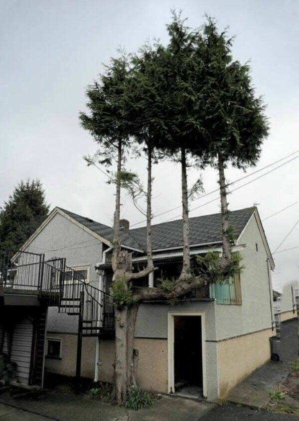 randompics1160_051
