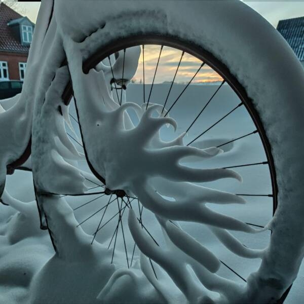 randompics1179_077