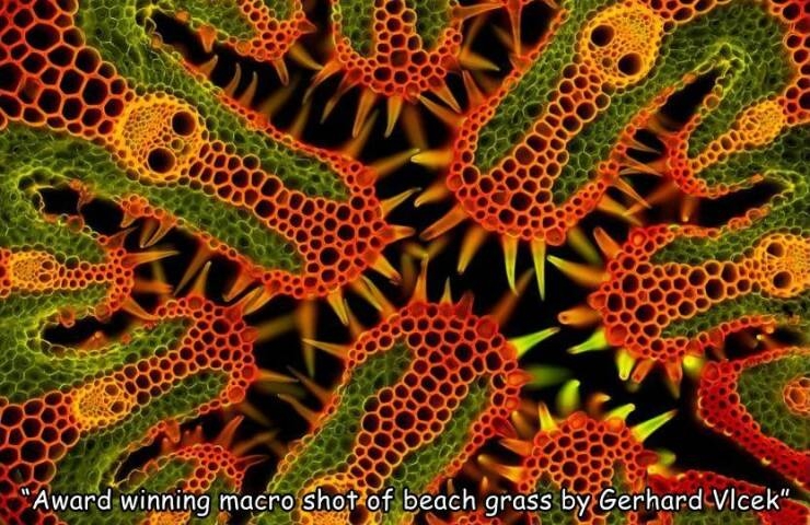 randompics1184_061