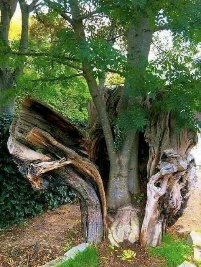 randompics1189_054