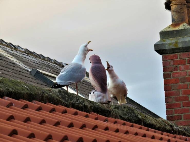 randompics1190_068