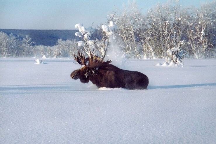 randompics1193_062
