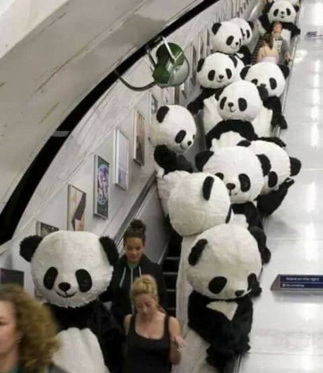 randompics1200_063