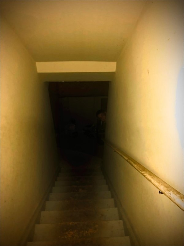 randompics1204_051