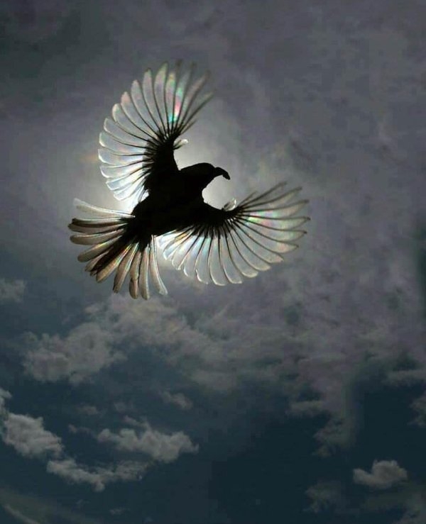 randompics1204_069