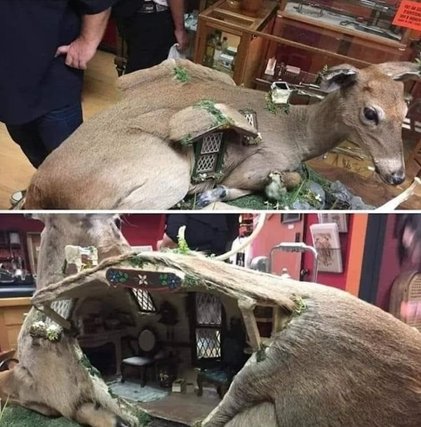 strangedesigns32_025