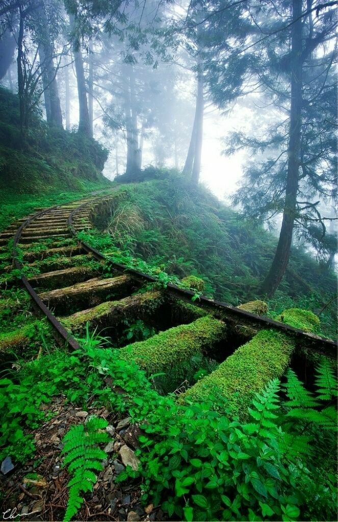 abandonedplaces26_024