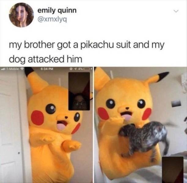 funnyanimals144_007