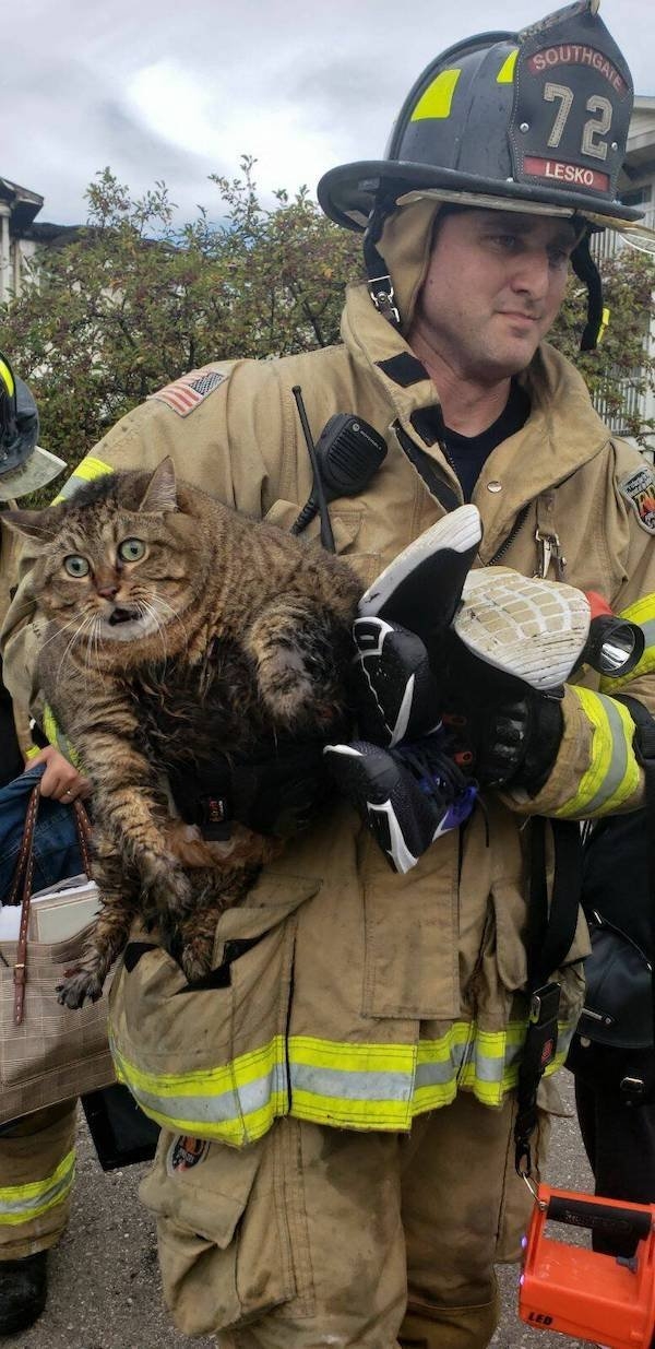 funnyanimals147_003