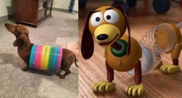 funnyanimals147_006