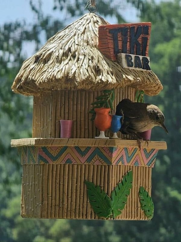 funnyanimals147_007