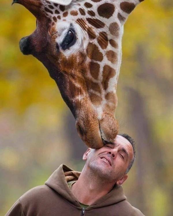 funnyanimals147_012