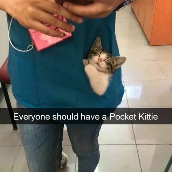 funnyanimals147_021