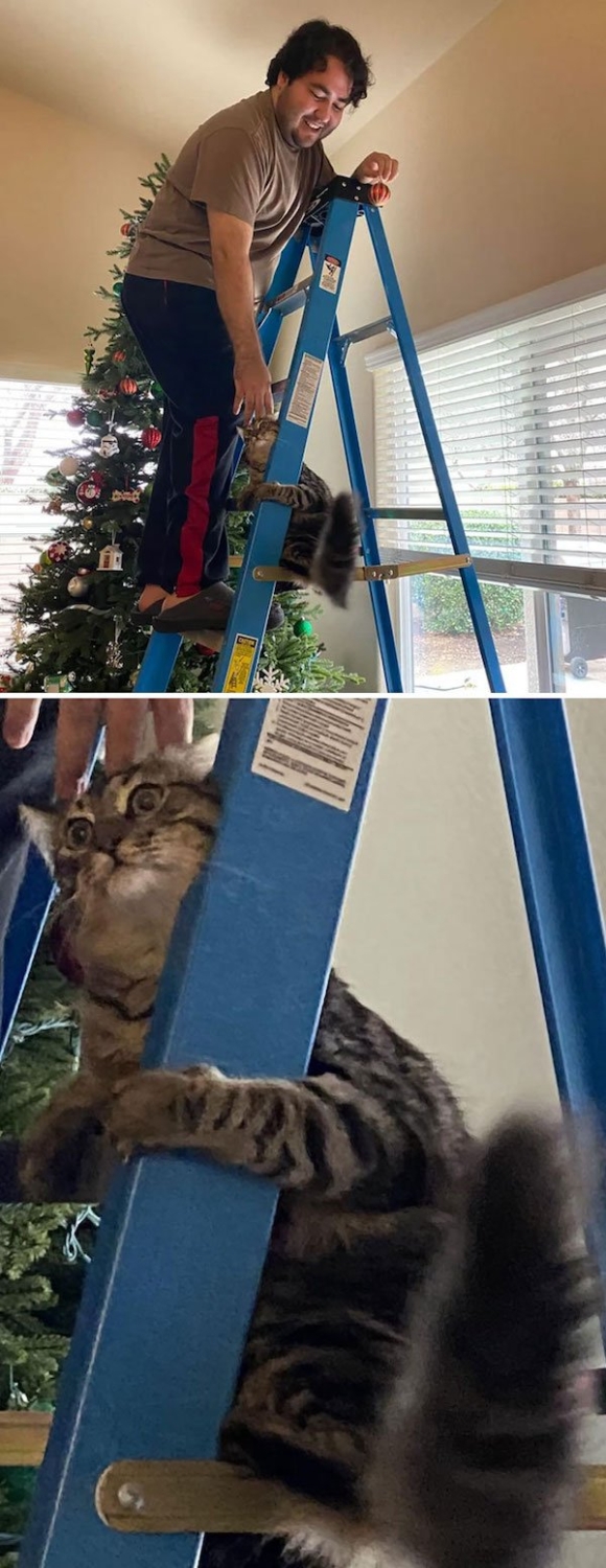 funnyanimals147_027
