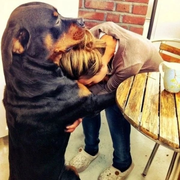 funnyanimals147_028