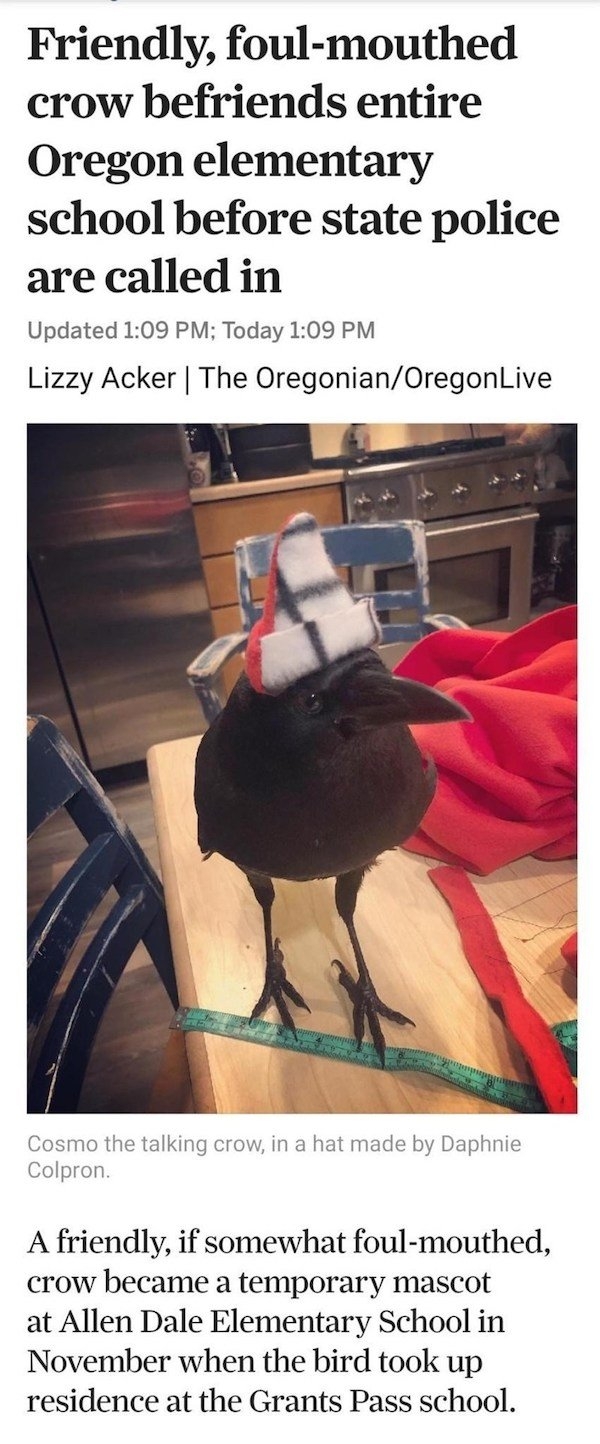 funnyanimals147_030