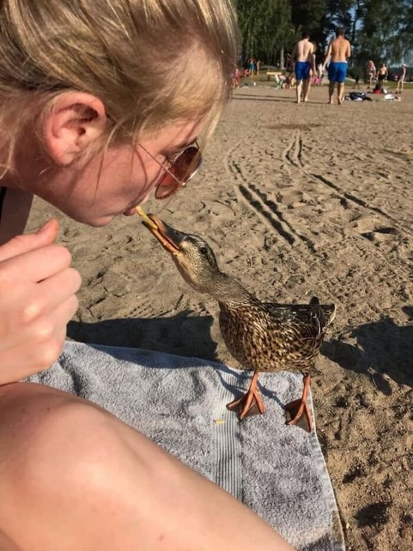funnyanimals147_033