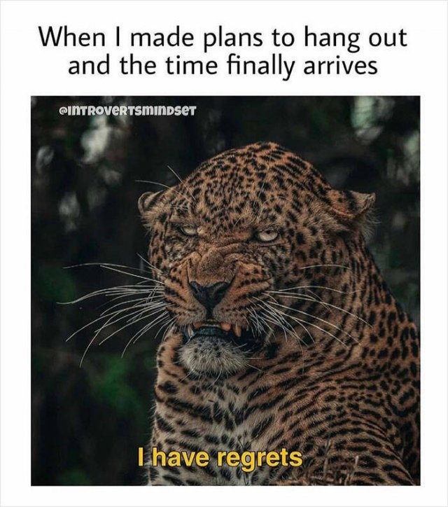 introverts3_004