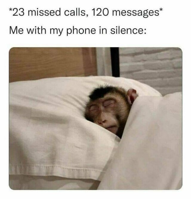 introverts3_020
