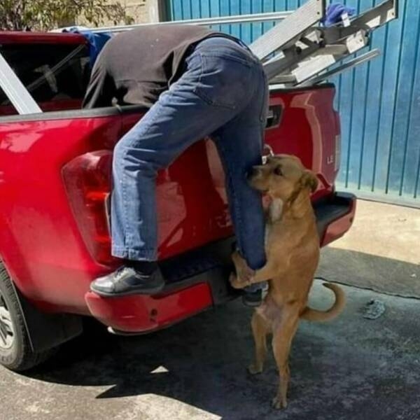 randompics1229_003