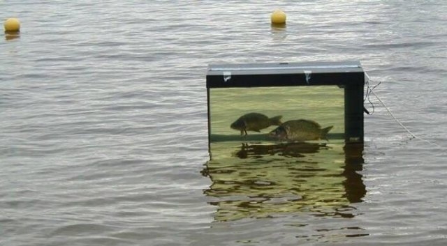 randompics1229_078