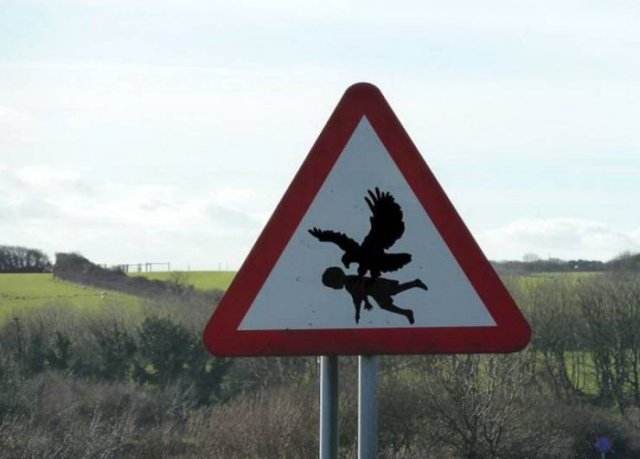 randompics1230_069