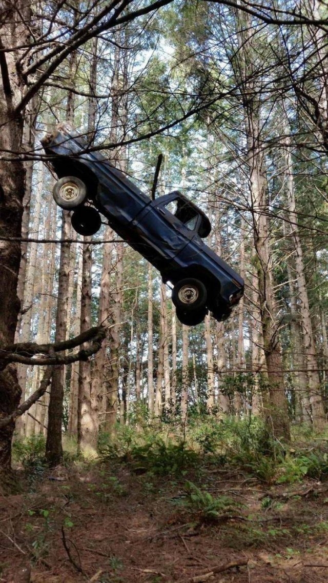 randompics1230_072