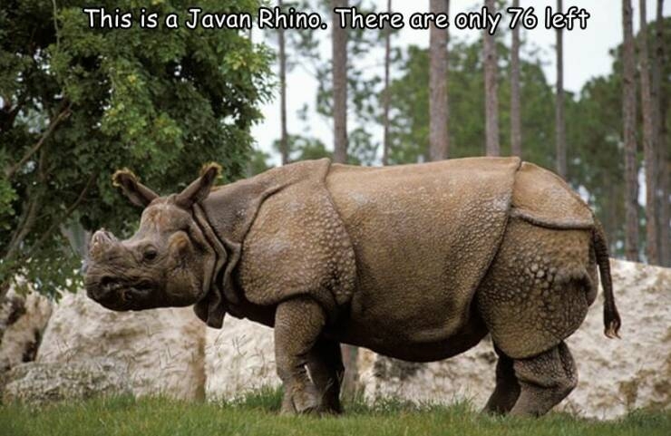 randompics1233_055