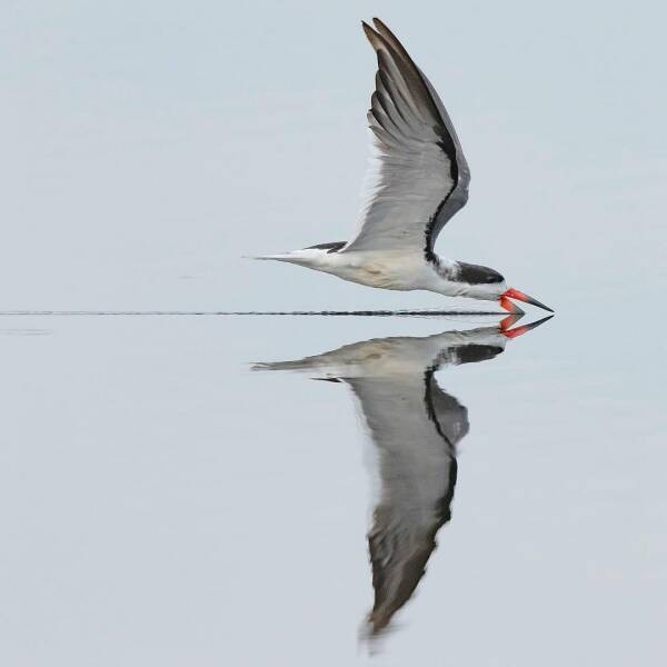 randompics1242_070