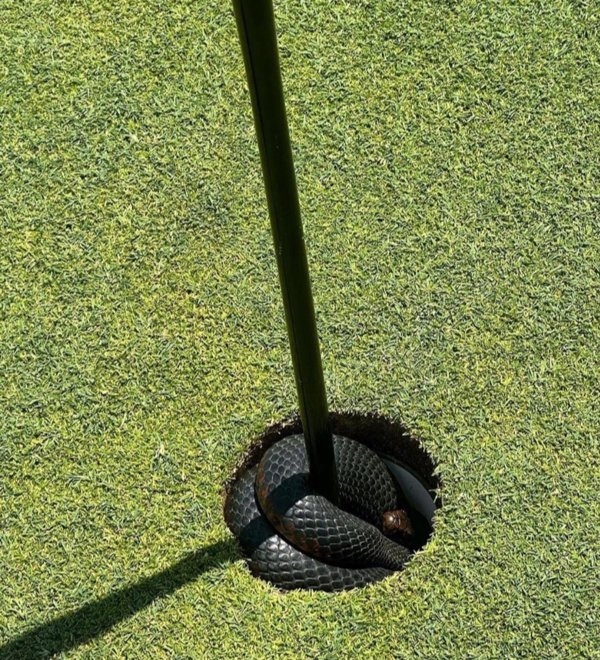 strangedesigns35_041