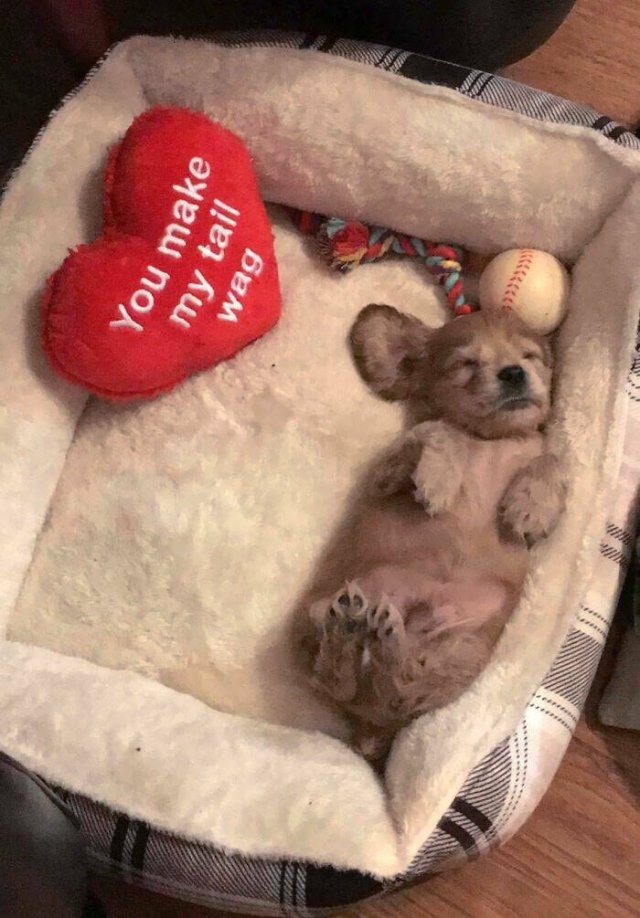valentinesday1_007