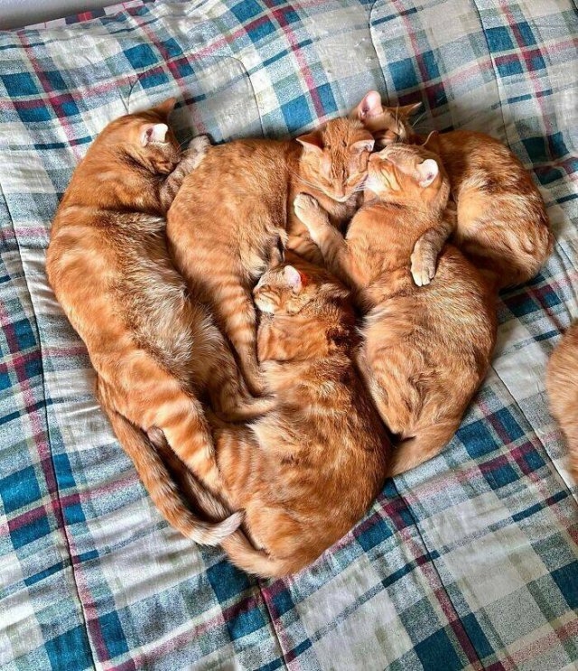 valentinesday1_015