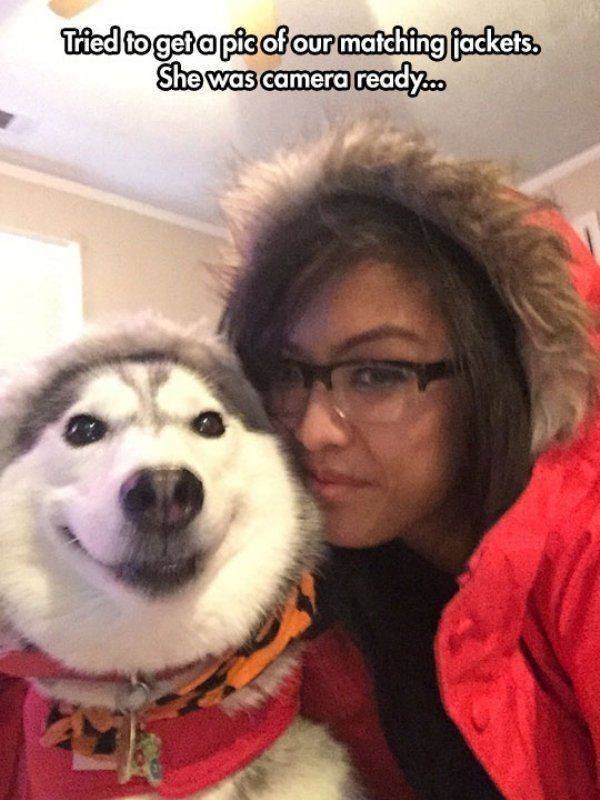 funnyanimals151_002