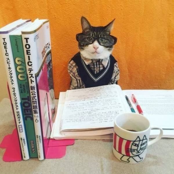 funnyanimals151_011