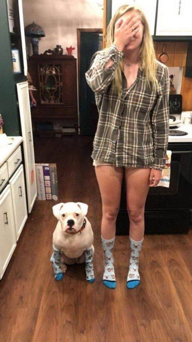 funnyanimals151_022