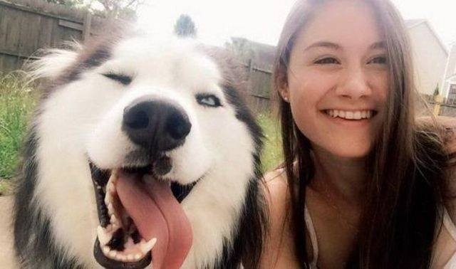 funnyanimals151_028