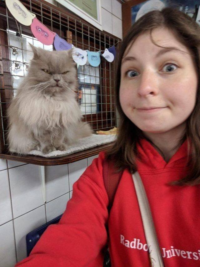 funnyanimals151_031