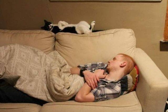 funnyanimals151_036