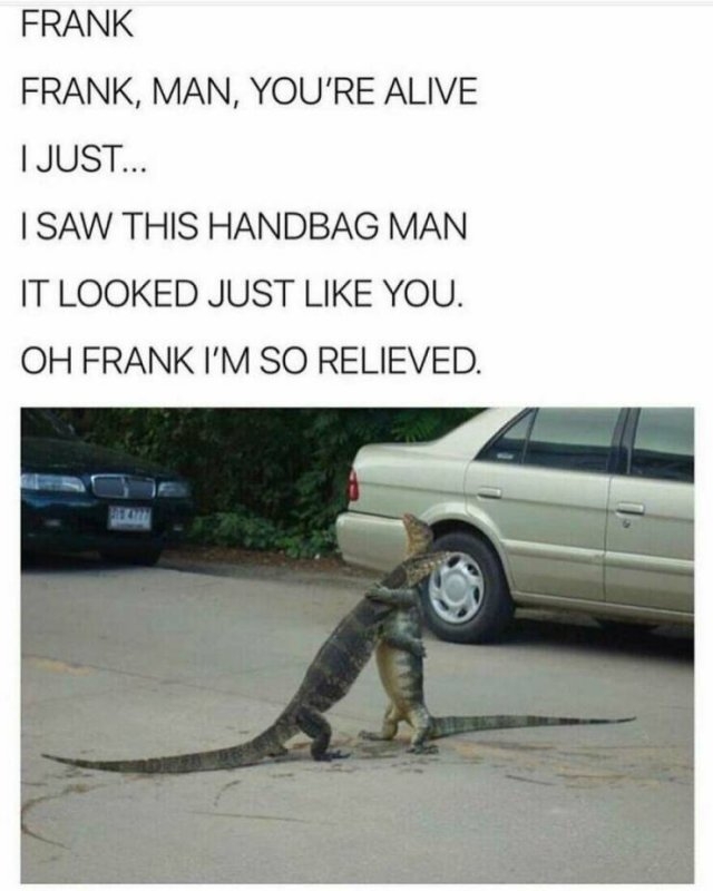 funnyanimals153_003