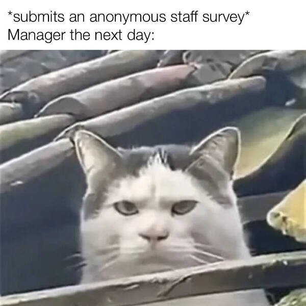 funnymemes187_004