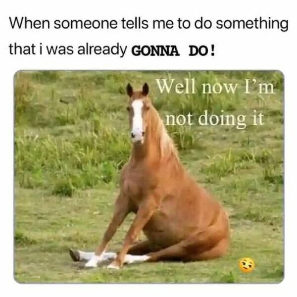 funnymemes187_023