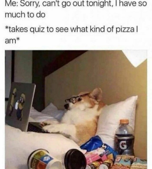 funnymemes187_029