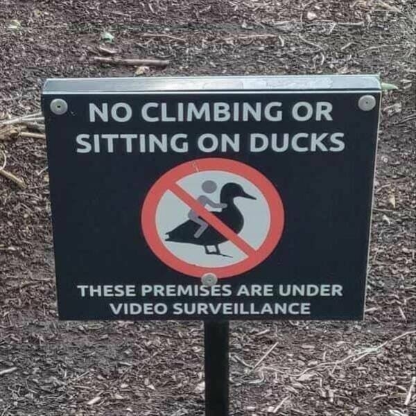 funnysigns26_003
