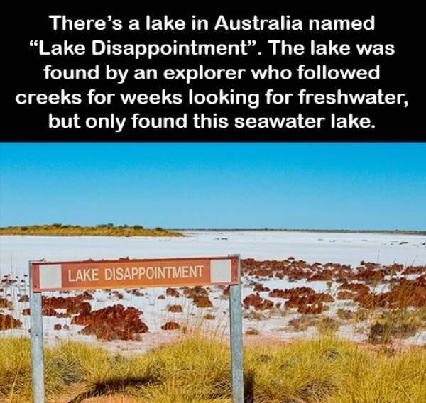 funnysigns26_026