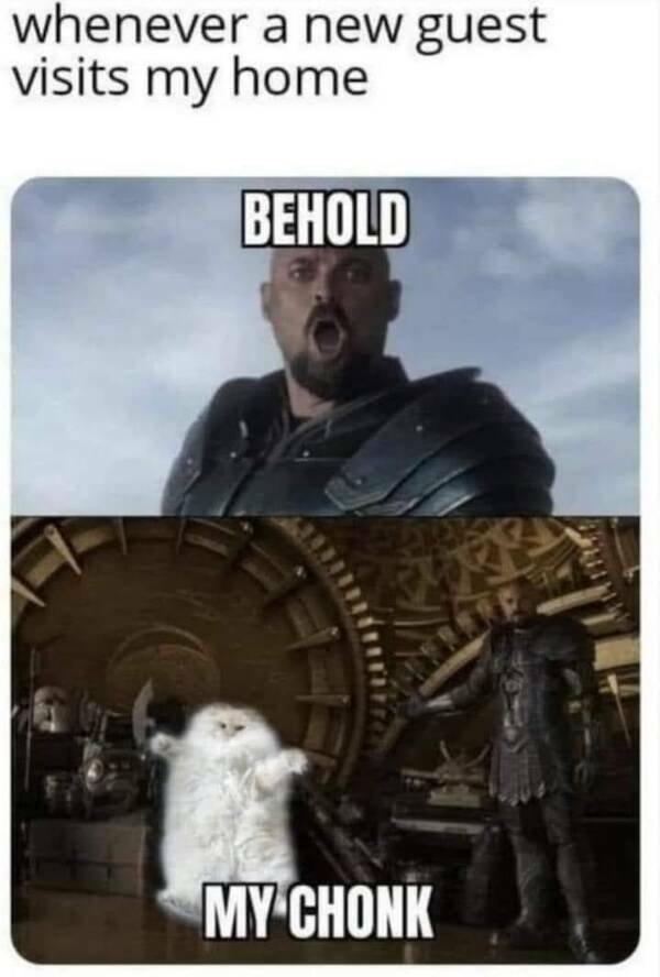 horrormoviememes5_006